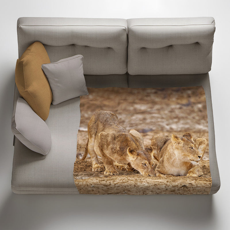 Lions Resting Light Weight Fleece Blanket By Fanie Heymans