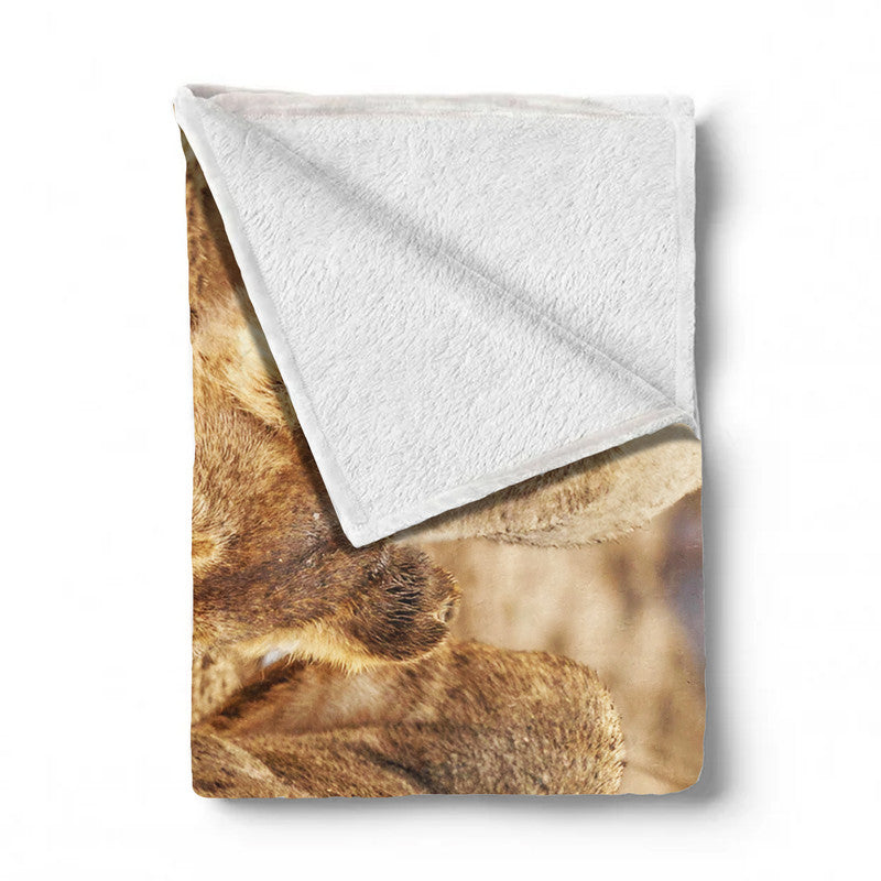 Lions Resting Light Weight Fleece Blanket By Fanie Heymans
