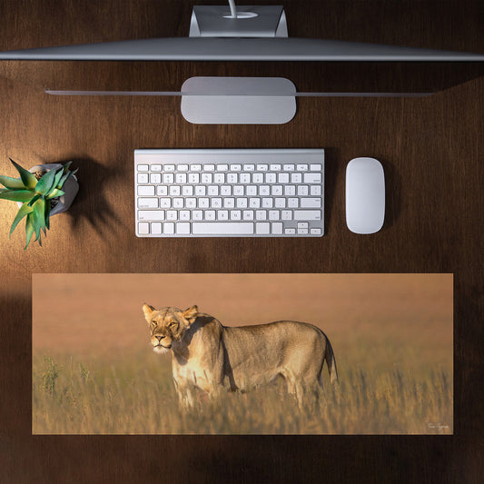 Lioness Kgalagadi Desk Pad by Fanie Heymans