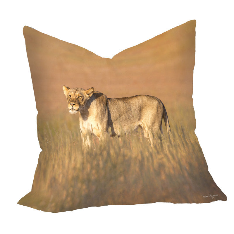 Lioness Kgalagadi Luxury Scatter by Fanie Heymans