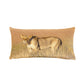 Lioness Kgalagadi Oblong Luxury Scatter by Fanie Heymans