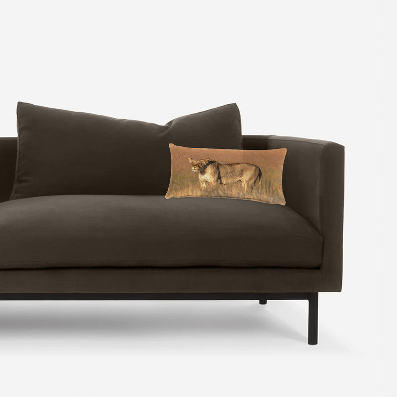 Lioness Kgalagadi Oblong Luxury Scatter by Fanie Heymans