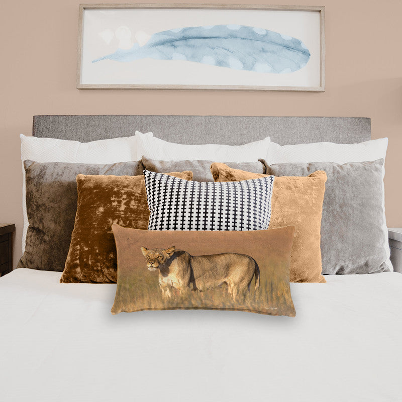 Lioness Kgalagadi Oblong Luxury Scatter by Fanie Heymans