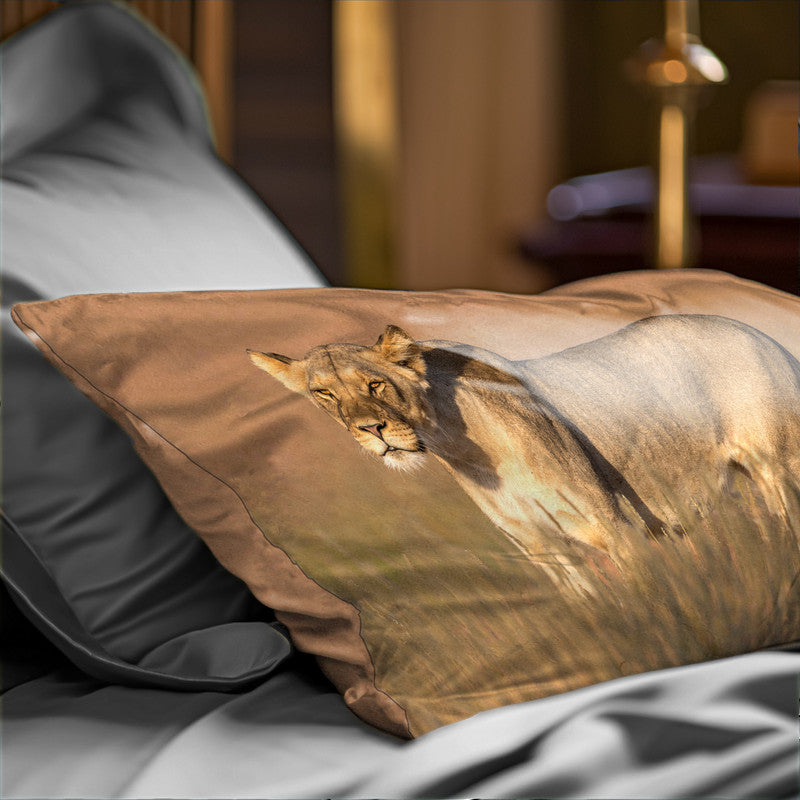 Lioness Kgalagadi Oblong Luxury Scatter by Fanie Heymans