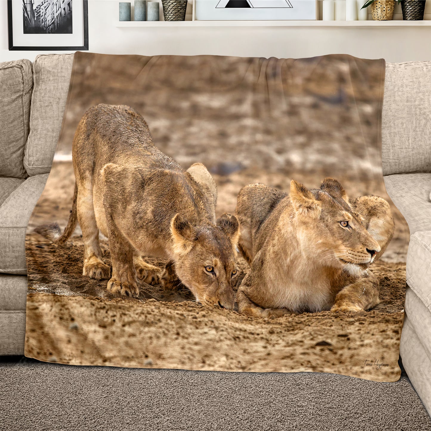 Lions Resting Light Weight Fleece Blanket By Fanie Heymans