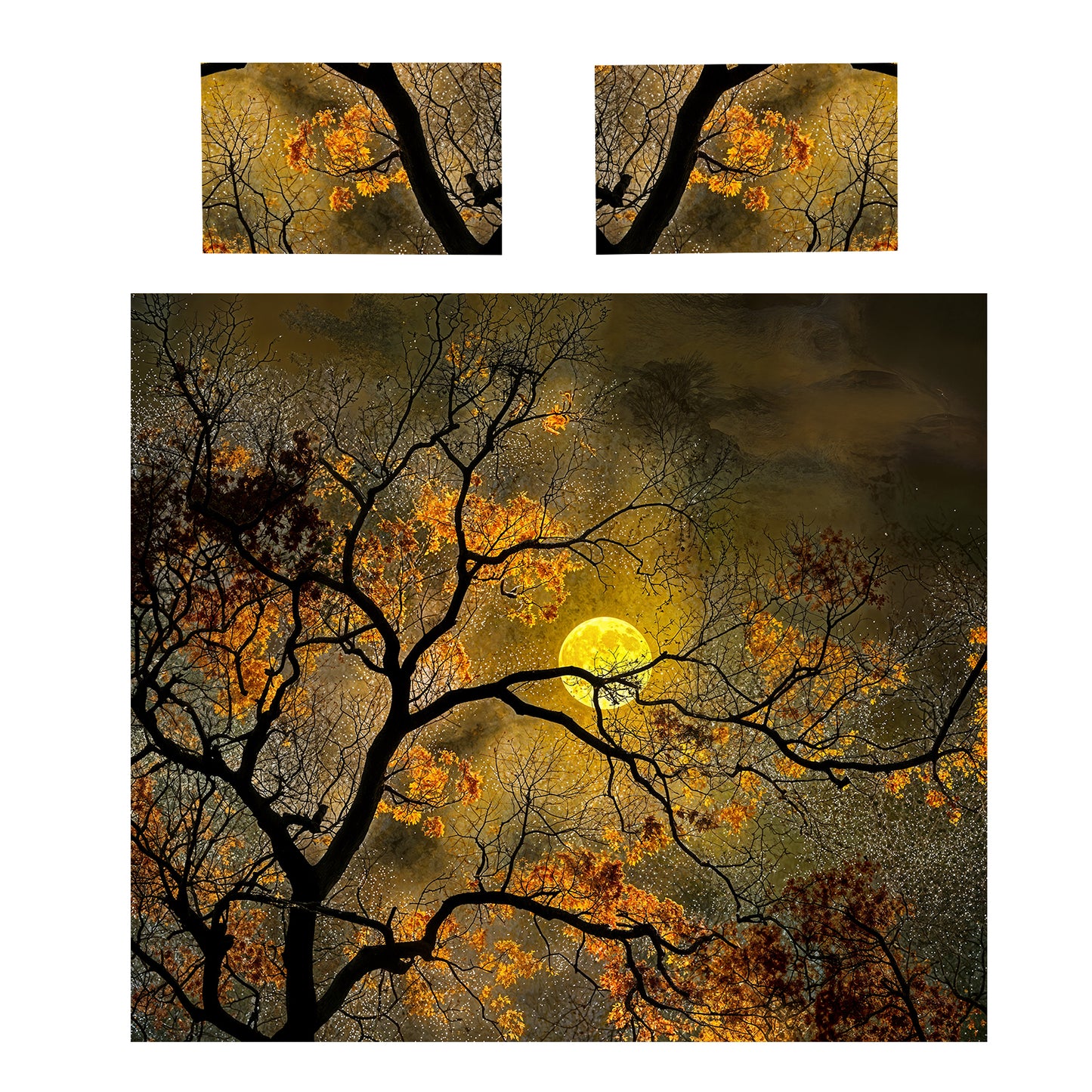 Lunar Canopy Duvet Cover Set