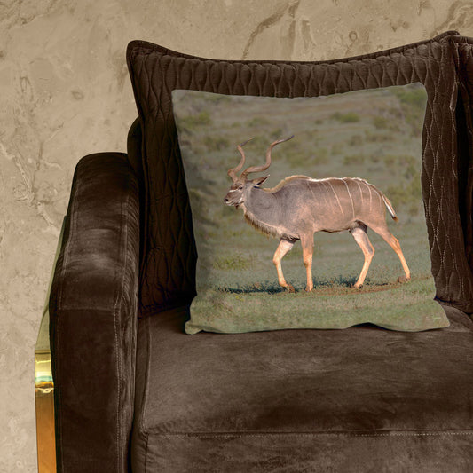 Male Kudu Luxury Scatter by Fanie Heymans