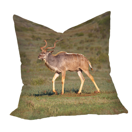 Male Kudu Luxury Scatter by Fanie Heymans