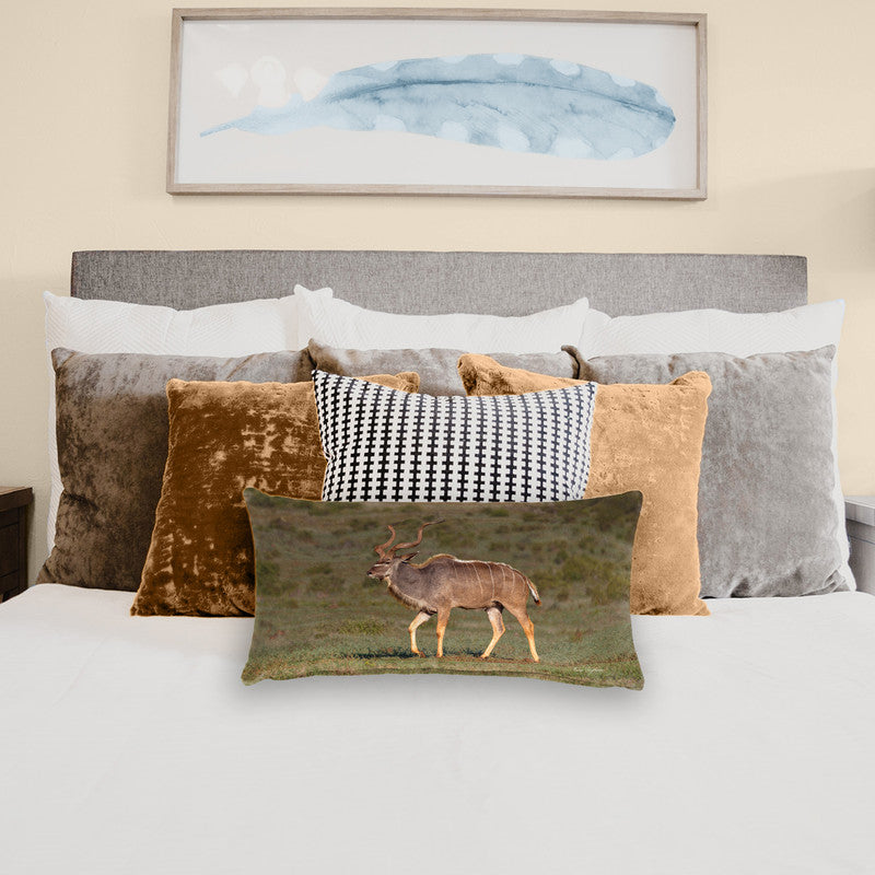 Male Kudu Oblong Luxury Scatter by Fanie Heymans