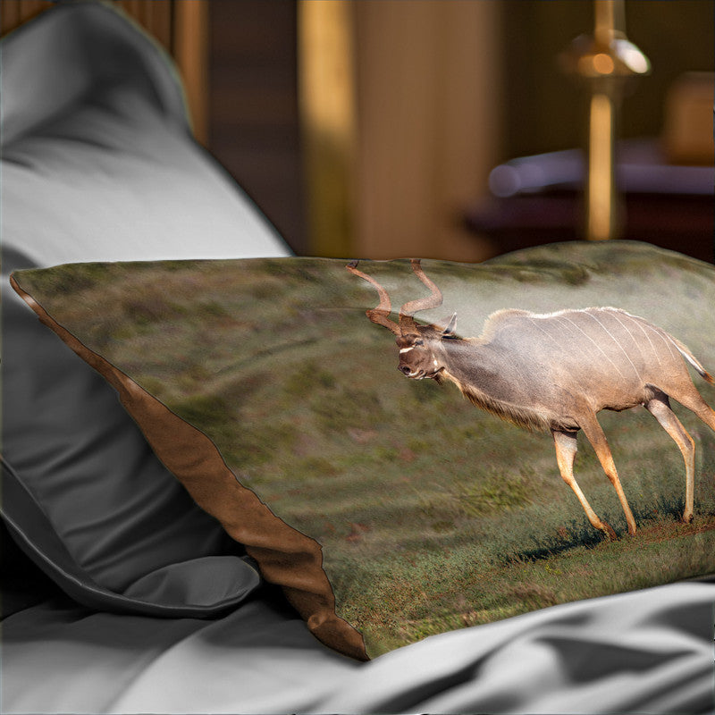 Male Kudu Oblong Luxury Scatter by Fanie Heymans