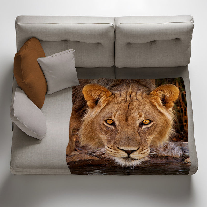 Male Lion Kgalagadi Light Weight Fleece Blanket By Fanie Heymans
