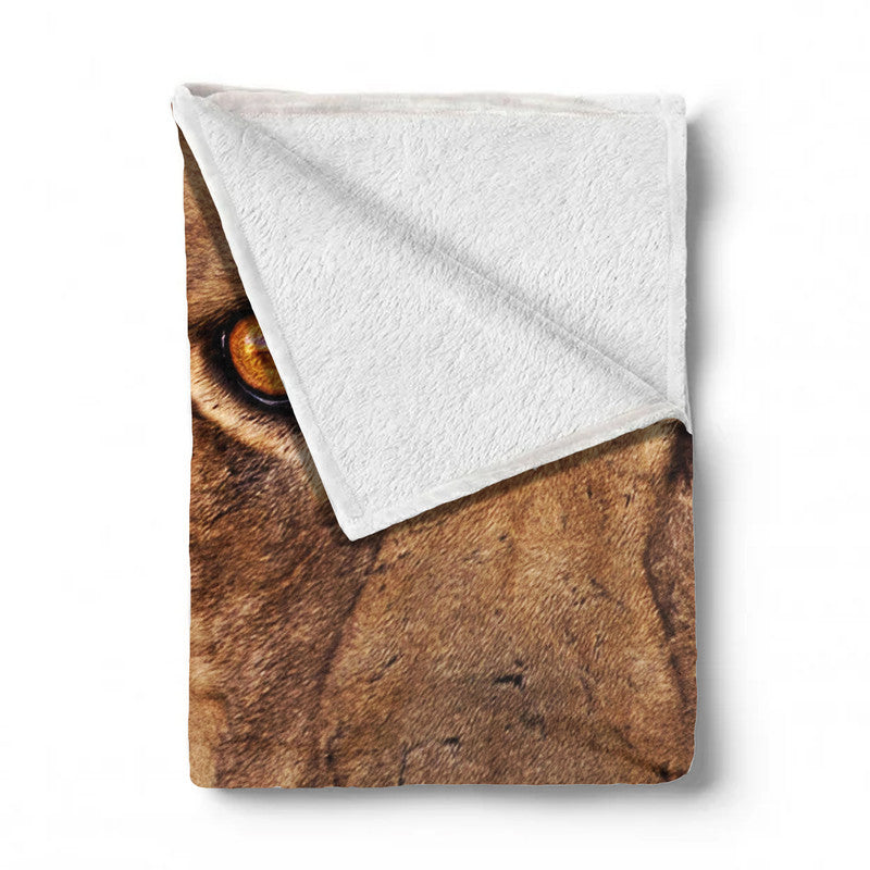 Male Lion Kgalagadi Light Weight Fleece Blanket By Fanie Heymans