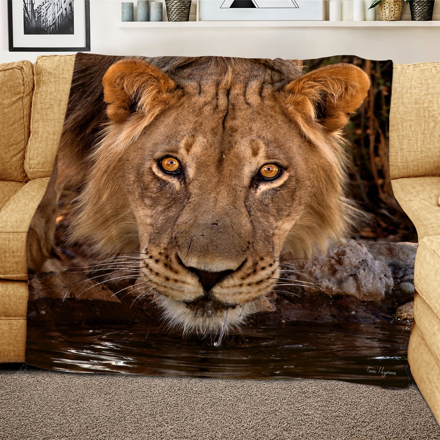 Male Lion Kgalagadi Light Weight Fleece Blanket By Fanie Heymans