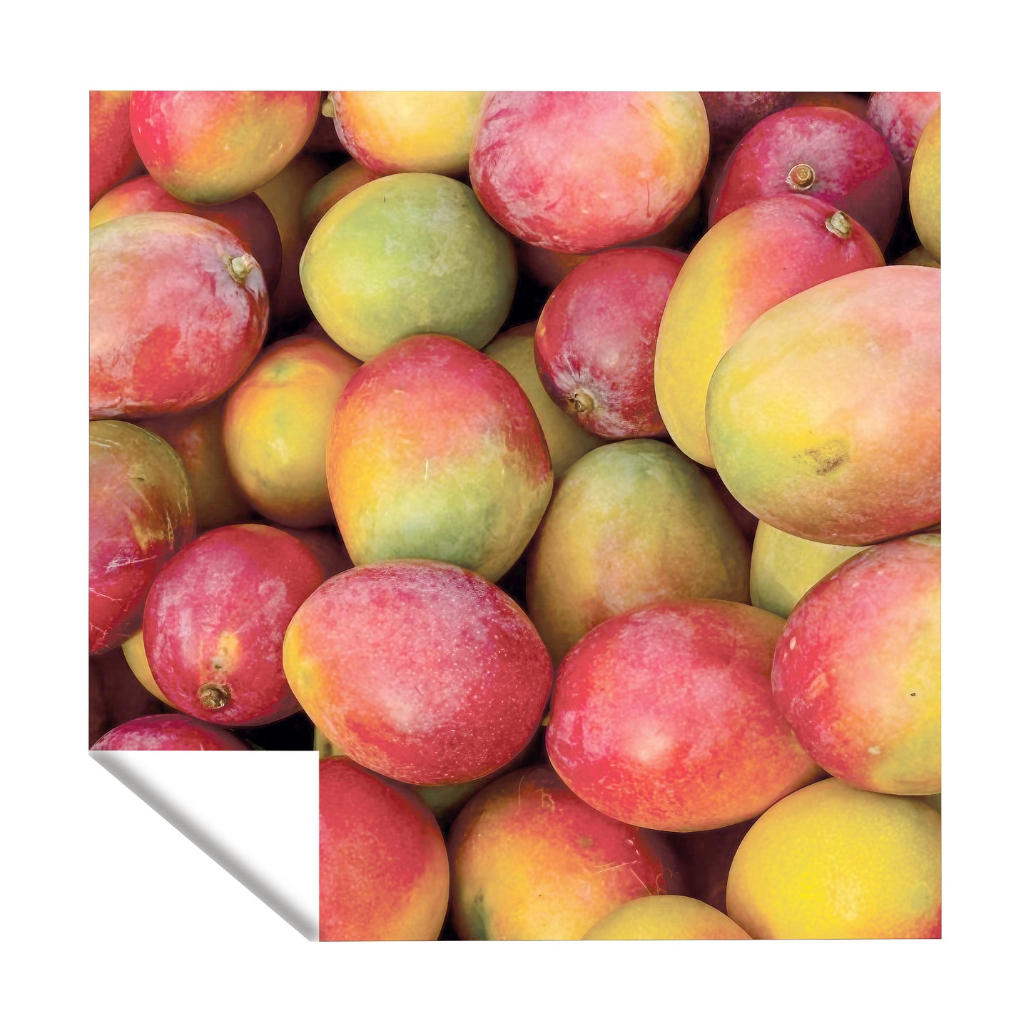 Mango Square Tablecloth