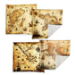 Maps Of Exploration Luxury Scatter Covers Set of 4