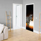 Midnight Visitor Decoupage Door
