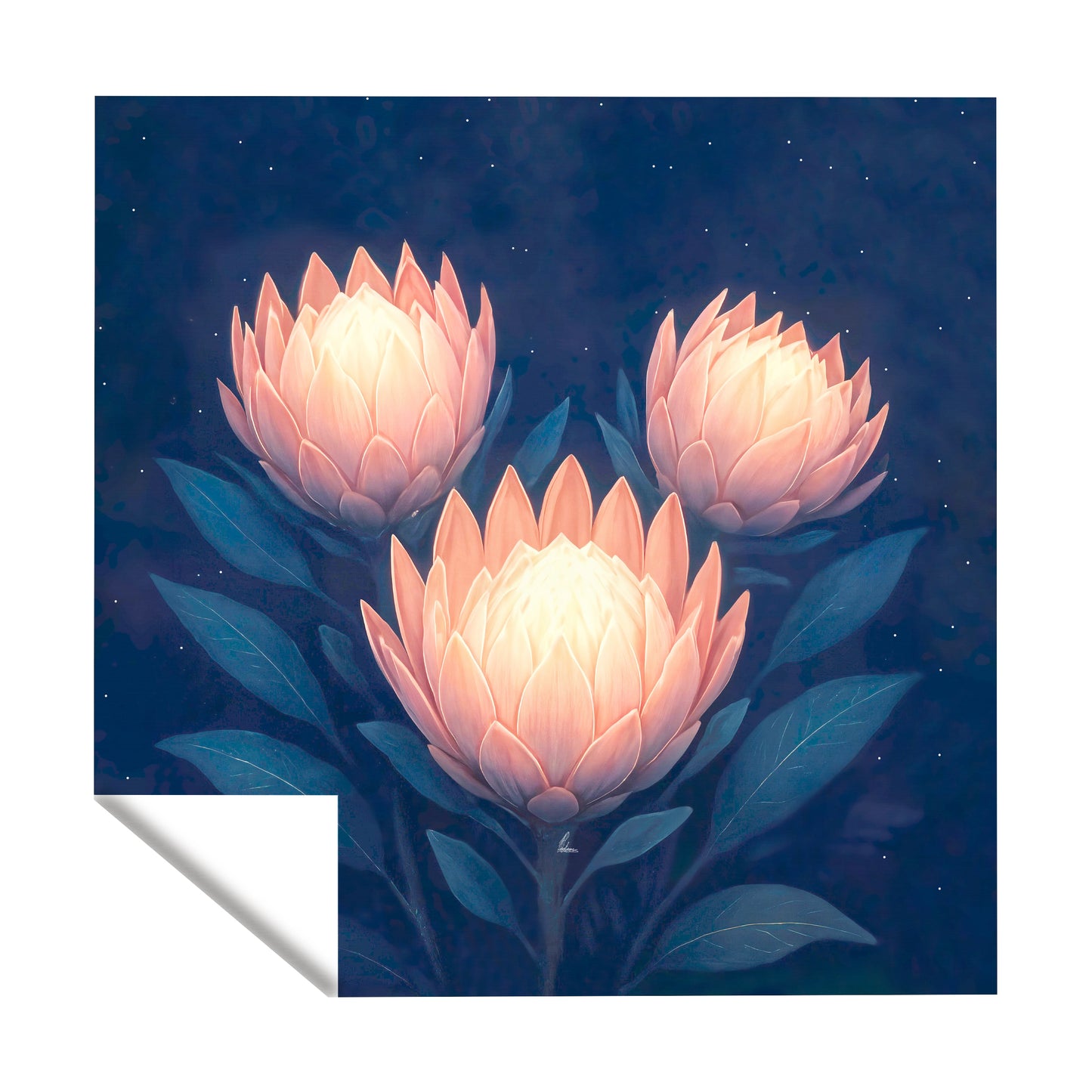 Midnight Protea Square Tablecloth by Nathan Pieterse