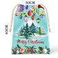 Mint Green Christmas Gift Bag (Set of 2)