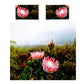 Mountain Proteas Duvet Cover Set