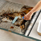 Mystical Horse Door Decoupage
