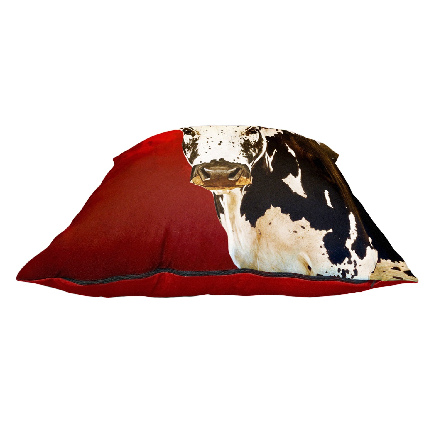 Nguni Hide & Heritage Luxury Scatter