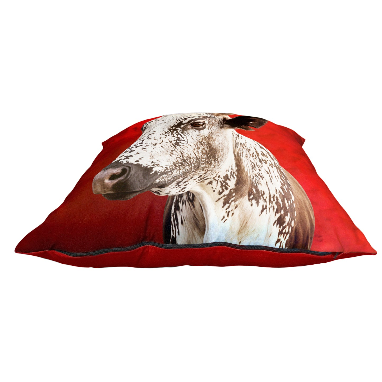 Nguni Roots & Cattle Luxury Scatter