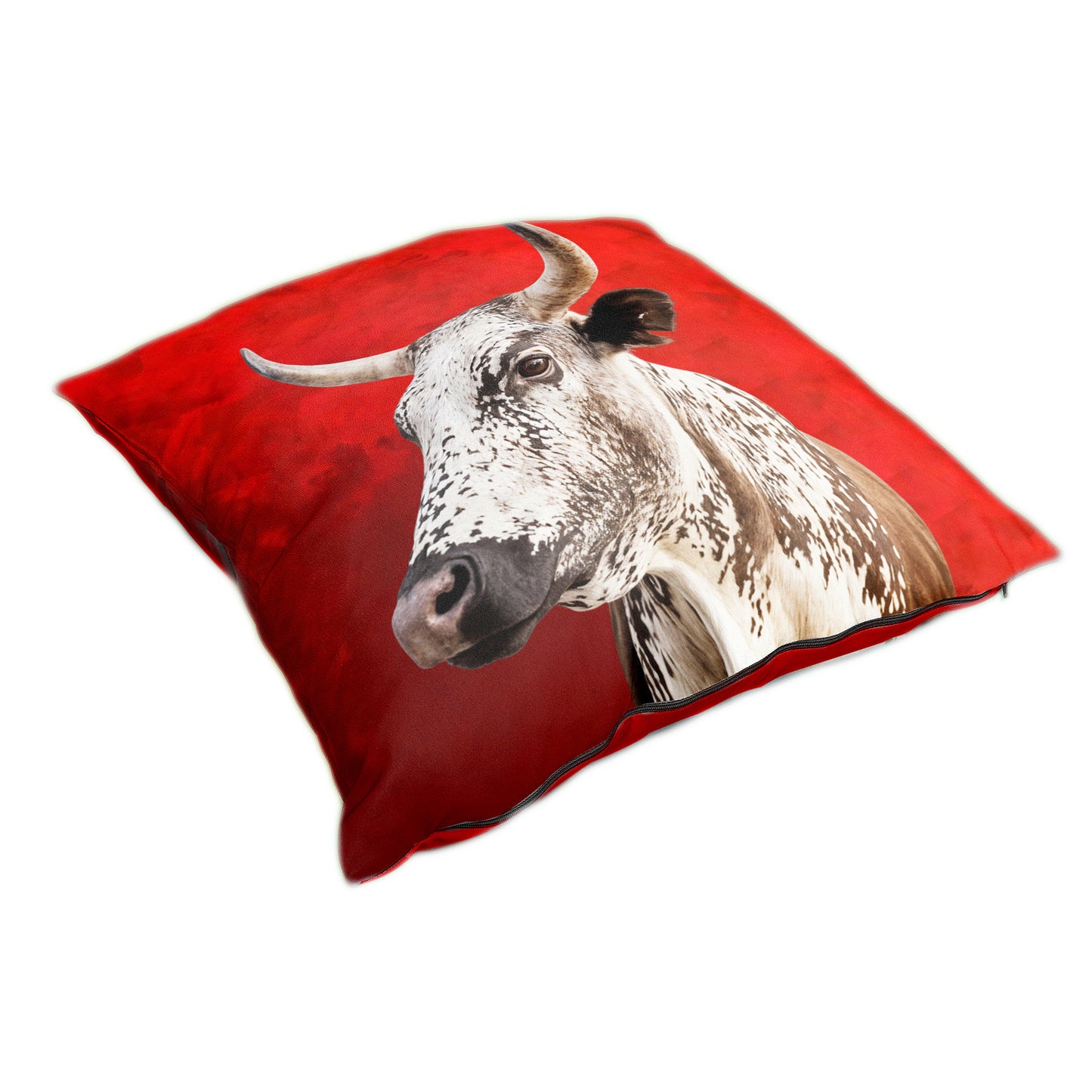 Nguni Roots & Cattle Luxury Scatter