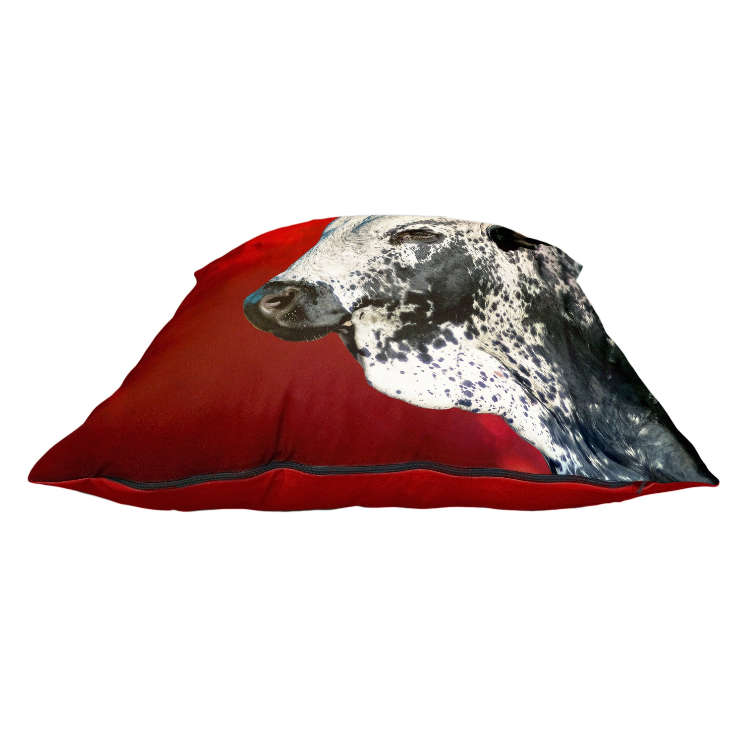 Nguni Zulu Hide Luxury Scatter