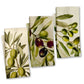 Olives Dish Cloth (Set of 3)