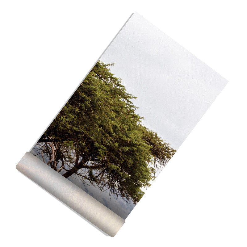 Open Fields Decoupage Door