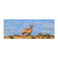 Oryx On The Horizon Desk Pad by Annette Heymans