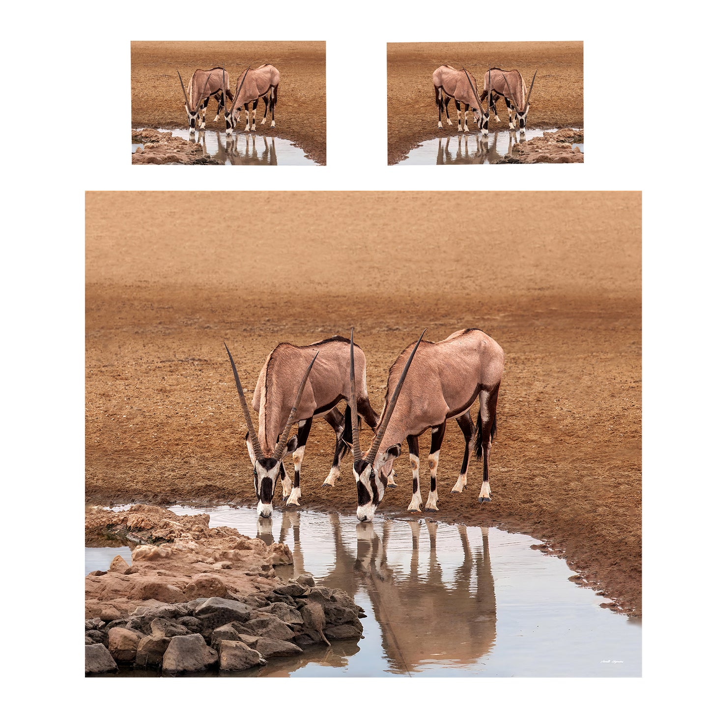 Oryx At Waterhole Duvet Cover Set by Annette Heymans