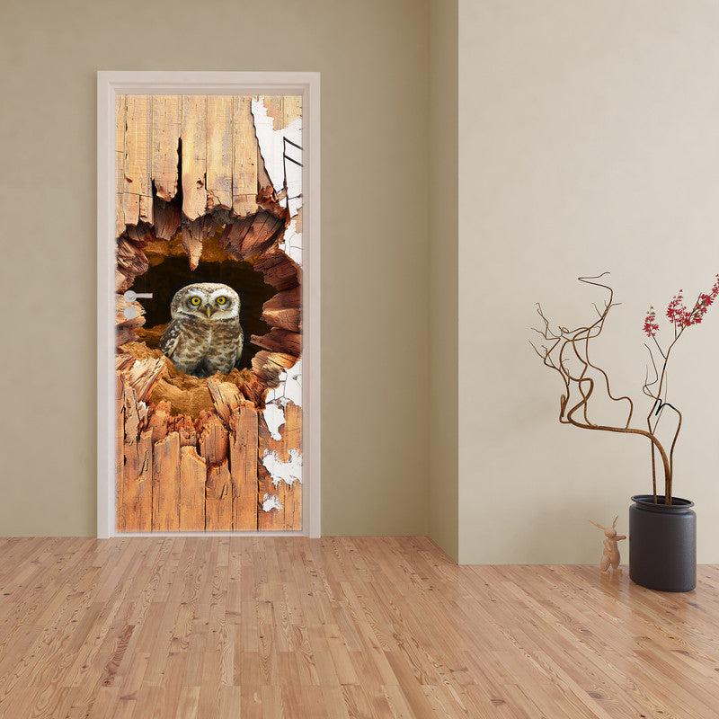 Owl Burrow Door Decoupage