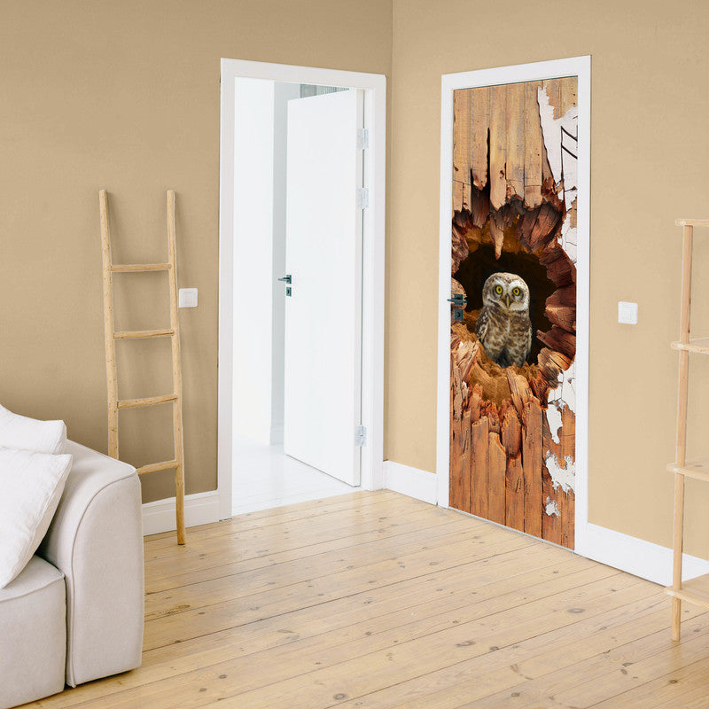 Owl Burrow Door Decoupage