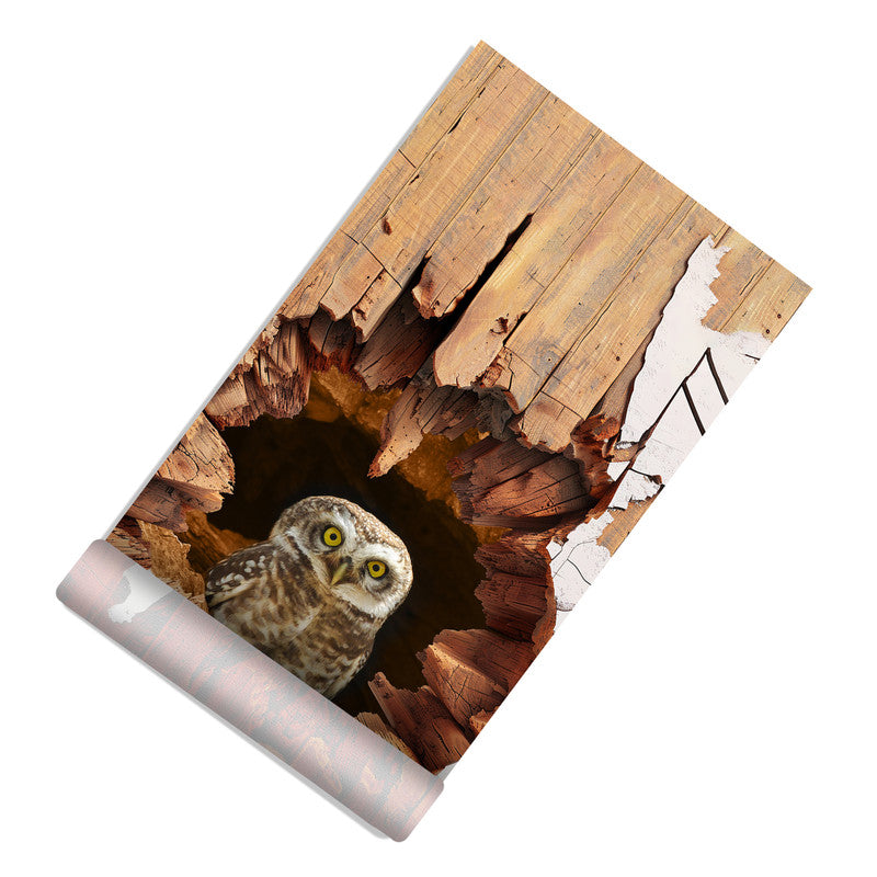 Owl Burrow Door Decoupage