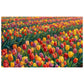 Painted Tulips Rectangle Tablecloth