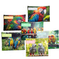 Parot Subject Savvy Book Bags Set of 6