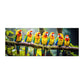 Parrot Family Large Desk Pad