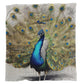 Pavo Cristatus Plumage Peacock Light Weight Fleece Blanket By Nathan Pieterse