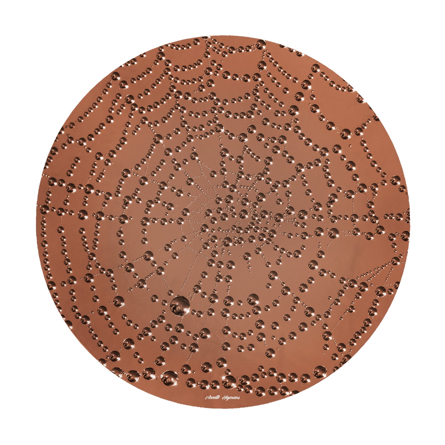 Pearl Spiderweb Round Tablecloth by Annette Heymans