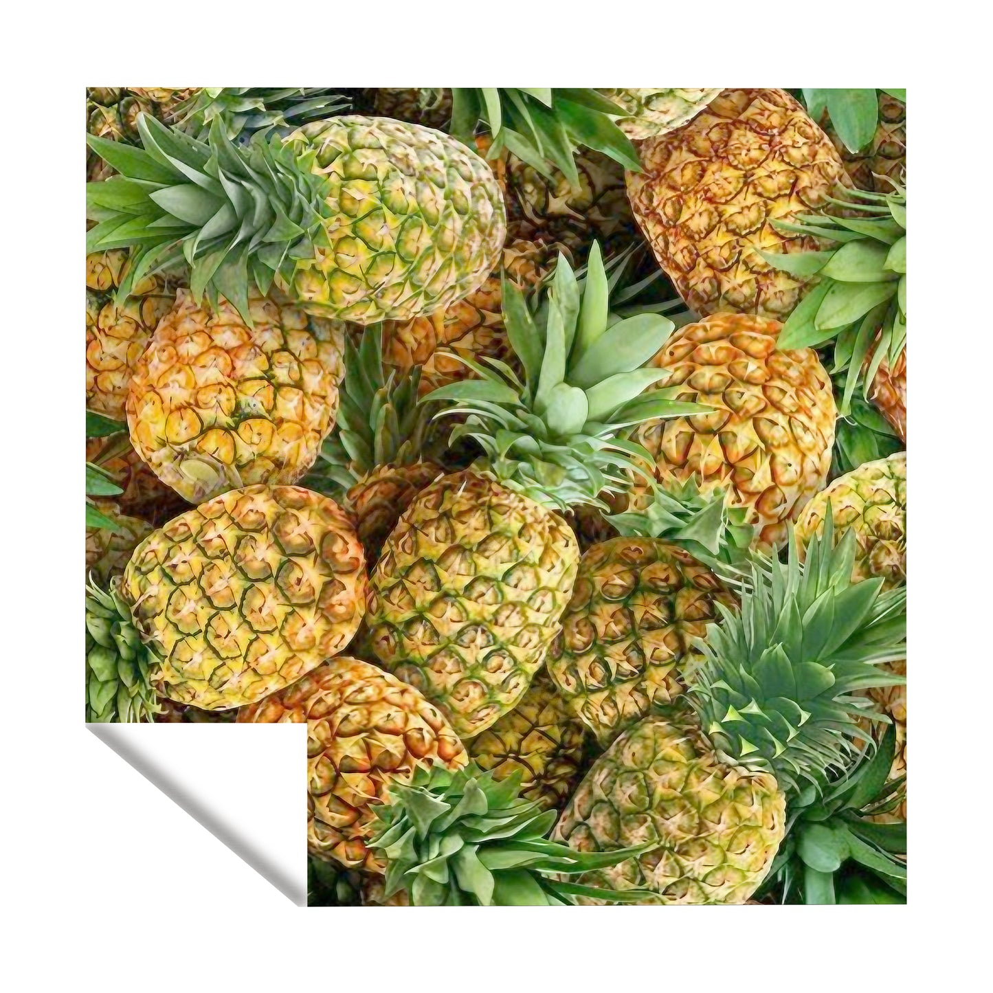 Pineapple Square Tablecloth
