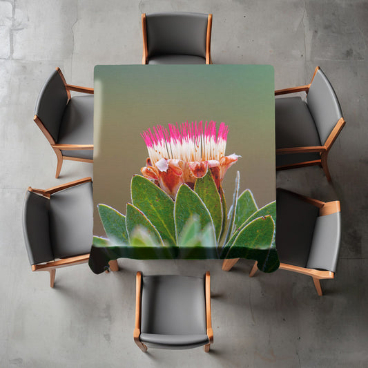 Pink Protea Square Tablecloth by Annette Heymans