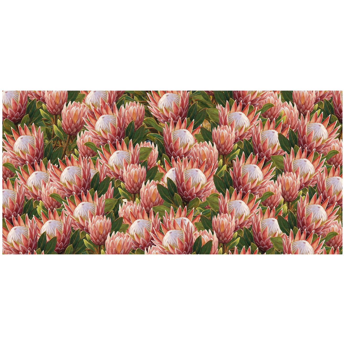 Pink Painted Proteas 3m Rectangle Tablecloth