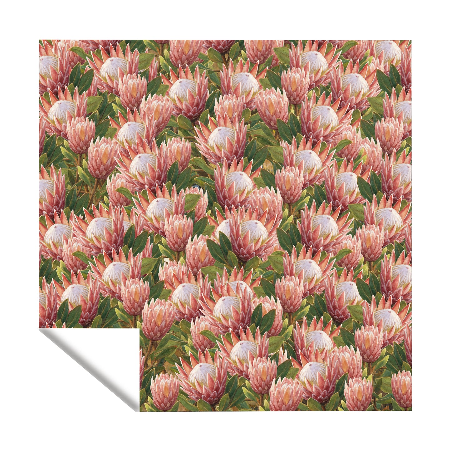 Pink Painted Proteas Square Tablecloth