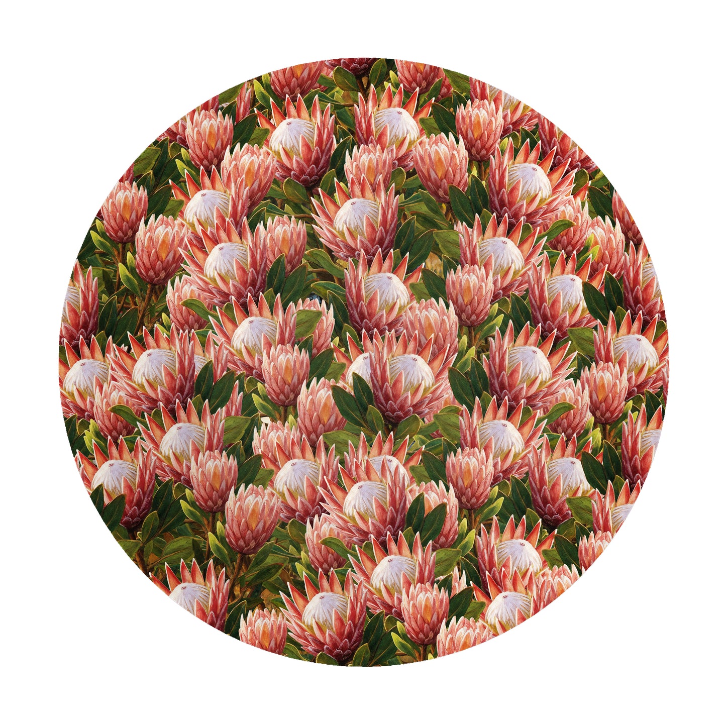 Pink Painted Proteas 2,3m Round Tablecloth
