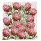 Pink Protea Dreams Light Weight Fleece Blanket by Mark van Vuuren