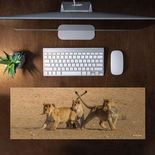 Playful Lion Cubs Large Desk Pad by Annette Heymans