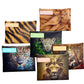 Predator Subject Savvy Book Bags Set of 6