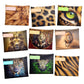 Predator Subject Savvy Book Bags Set of 9