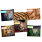 Predator Subject Savvy Book Bags Set of 6